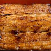 ヒメ日記 2025/06/13 15:00 投稿 渋井さきな 美魔女エステ