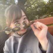 ヒメ日記 2025/12/06 11:02 投稿 ゆみ 激安ソープの殿堂　ボイン・ホーテ