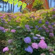 ヒメ日記 2025/06/21 17:48 投稿 マロン秘書 秘書の品格 クラブアッシュ ヴァリエ