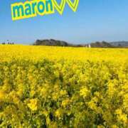 マロン秘書 半年ぶり⁄(⁄ ⁄•⁄ω⁄•⁄ ⁄)⁄❤️ 秘書の品格 クラブアッシュ ヴァリエ