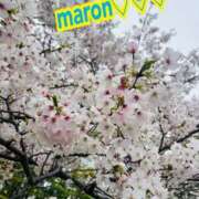 マロン秘書 おはようございます🥰💓 秘書の品格 クラブアッシュ ヴァリエ