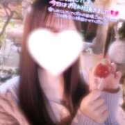 ヒメ日記 2025/03/14 15:27 投稿 ゆの アップル(長崎)