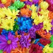 あずみ 新年は新しいモノで… 熟女の風俗最終章 仙台店