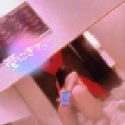 ヒメ日記 2025/04/30 09:52 投稿 なぎ エマニエル