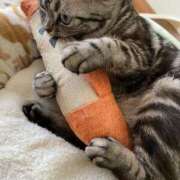 ヒメ日記 2025/10/05 18:22 投稿 あい AFTER V（アフターファイブ）