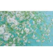 ヒメ日記 2025/02/15 20:31 投稿 らら Sakura Spa