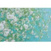 ヒメ日記 2025/04/28 15:30 投稿 らら Sakura Spa