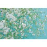 ヒメ日記 2025/06/17 20:31 投稿 らら Sakura Spa