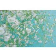 ヒメ日記 2025/08/11 17:30 投稿 らら Sakura Spa