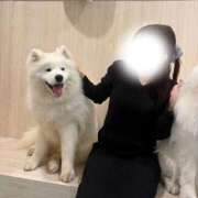 ヒメ日記 2025/12/31 23:05 投稿 らら Sakura Spa