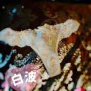 ヒメ日記 2025/02/05 16:16 投稿 白波(しらなみ) 人妻出逢い会 百合の園 新宿店