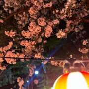 ヒメ日記 2025/04/12 19:26 投稿 白波(しらなみ) 人妻出逢い会 百合の園 新宿店