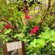 ヒメ日記 2025/05/10 23:16 投稿 白波(しらなみ) 人妻出逢い会 百合の園 新宿店