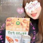 白波(しらなみ) 感謝のきもち 人妻出逢い会 百合の園 新宿店