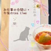 白波(しらなみ) 春の4月🍀 人妻出逢い会 百合の園 新宿店