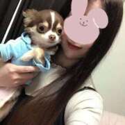 ここな ♡ここな♡ 奥様はエンジェル　立川店