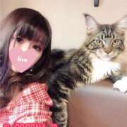 ここな ♡ここな♡ 奥様はエンジェル　立川店