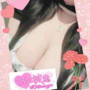 ヒメ日記 2025/04/11 09:50 投稿 新堂　あおい ギン妻パラダイス 谷九店