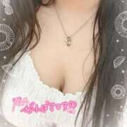 ヒメ日記 2025/04/16 10:00 投稿 新堂　あおい ギン妻パラダイス 谷九店