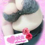 ヒメ日記 2025/04/17 10:16 投稿 新堂　あおい ギン妻パラダイス 谷九店