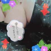 ヒメ日記 2025/05/07 12:05 投稿 新堂　あおい ギン妻パラダイス 谷九店