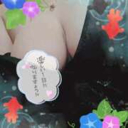 ヒメ日記 2025/06/04 11:14 投稿 新堂　あおい ギン妻パラダイス 谷九店