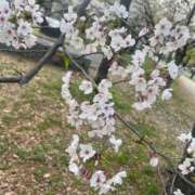 ヒメ日記 2026/03/27 20:10 投稿 新堂　あおい ギン妻パラダイス 谷九店