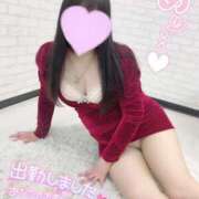 ヒメ日記 2025/03/11 20:51 投稿 ここあ 即アポ奥さん〜名古屋店〜