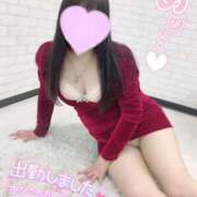 ヒメ日記 2025/03/23 21:51 投稿 ここあ 即アポ奥さん〜名古屋店〜