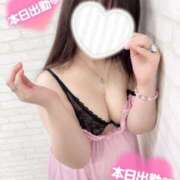 ヒメ日記 2026/02/14 22:58 投稿 ここあ 即アポ奥さん〜名古屋店〜