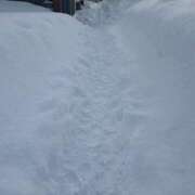 ヒメ日記 2025/02/02 10:08 投稿 れいな お姉さんSelect