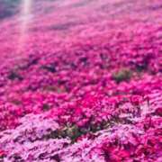 ヒメ日記 2025/05/30 12:32 投稿 れいな お姉さんSelect