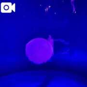 ヒメ日記 2025/05/30 13:17 投稿 れいな お姉さんSelect