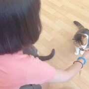 ヒメ日記 2025/06/30 18:46 投稿 れいな お姉さんSelect