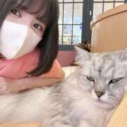 ヒメ日記 2025/07/03 12:08 投稿 れいな お姉さんSelect