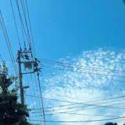 ヒメ日記 2025/07/23 11:23 投稿 れいな お姉さんSelect