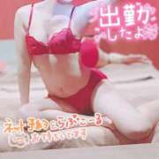 ヒメ日記 2025/10/01 10:16 投稿 れいな お姉さんSelect