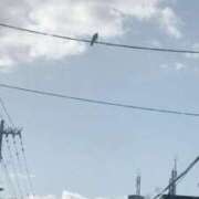 ヒメ日記 2025/10/29 09:06 投稿 れいな お姉さんSelect