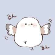 ヒメ日記 2025/11/30 11:16 投稿 れいな お姉さんSelect