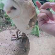 ヒメ日記 2026/02/15 14:17 投稿 れいな お姉さんSelect