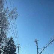 ヒメ日記 2026/02/20 08:56 投稿 れいな お姉さんSelect