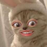 ヒメ日記 2025/06/09 14:58 投稿 あんな 町田人妻城