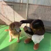 ヒメ日記 2026/07/27 13:33 投稿 あんな 町田人妻城