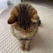 ヒメ日記 2025/02/25 14:43 投稿 れん ビデオdeはんど 横浜校