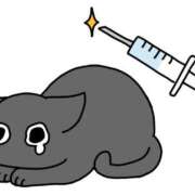 ヒメ日記 2025/08/22 17:23 投稿 れん ビデオdeはんど 横浜校