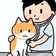 れん 元気に回復中🐱 ビデオdeはんど 横浜校