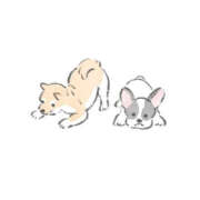 ヒメ日記 2026/10/13 17:22 投稿 れん ビデオdeはんど 横浜校