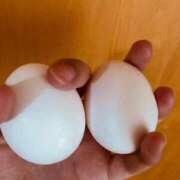 ヒメ日記 2025/04/05 15:30 投稿 るな【こだ割嬢】 first call～ファーストコール～