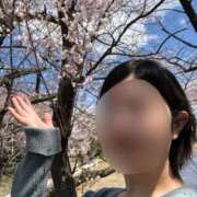 ヒメ日記 2025/04/16 13:25 投稿 るな【こだ割嬢】 first call～ファーストコール～