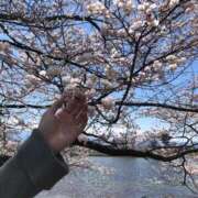 ヒメ日記 2025/04/19 12:16 投稿 るな【こだ割嬢】 first call～ファーストコール～